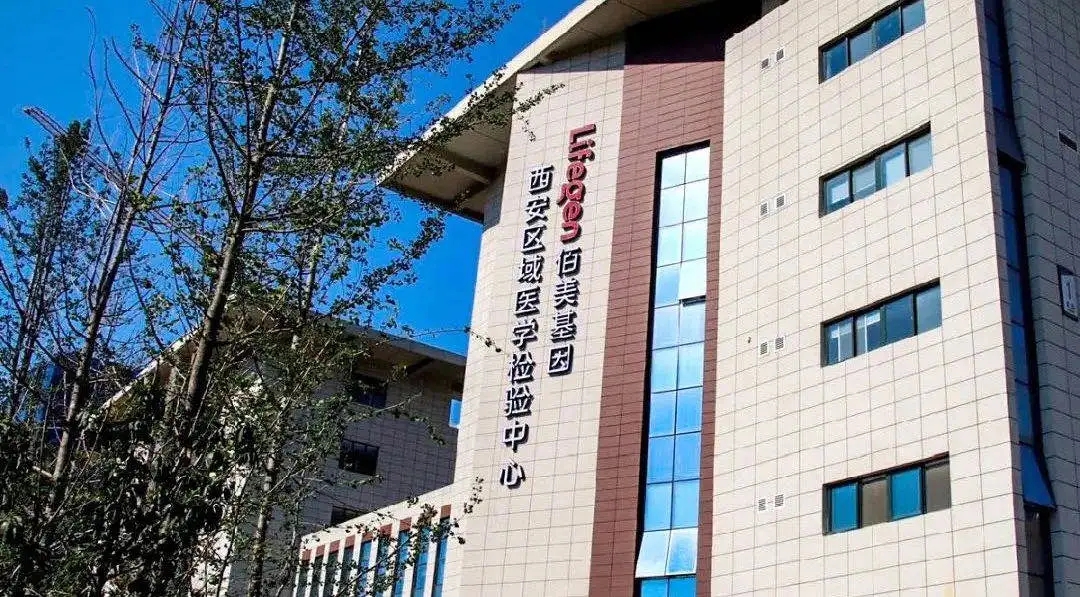 ��һ����stake�������������������������ҽѧĥ�����Ĺ�����