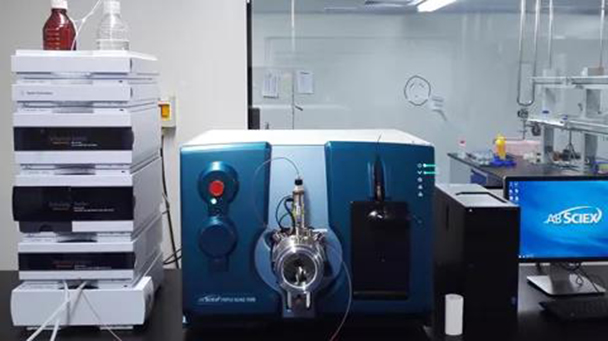 Stake��ڡ�(�й���)���޹�˾����