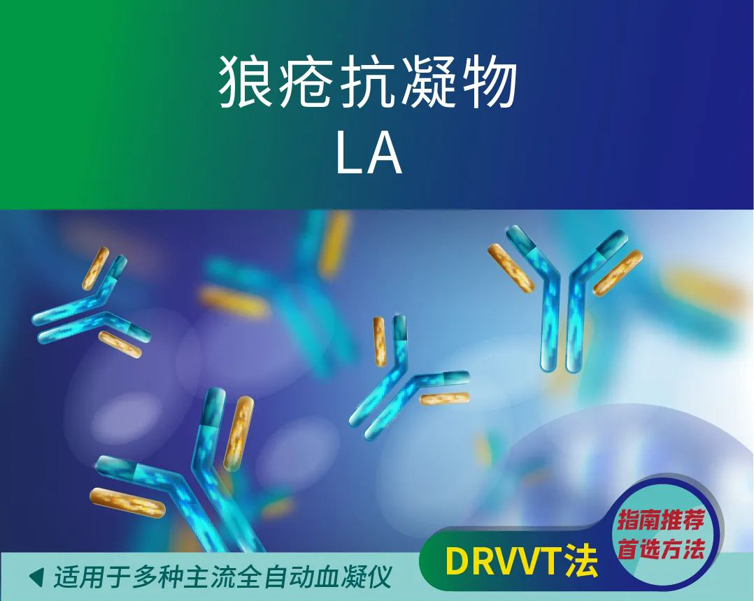 Stake��ڡ�(�й���)���޹�˾����