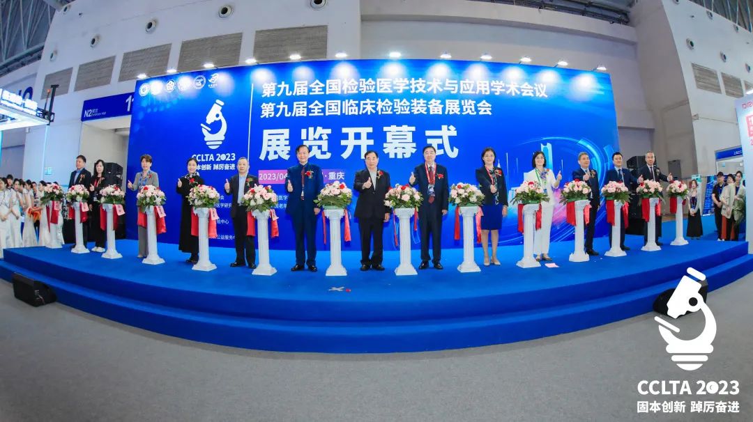 ��Խɽ����������ݣ�stake�����������CCLTA֮��Բ�����£�